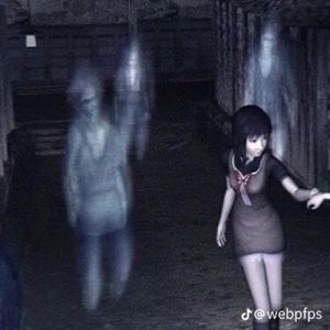 Meet your Posher, Sally